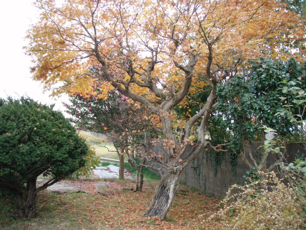Guesthouse Hokkai 七尾市 エクステリア 写真